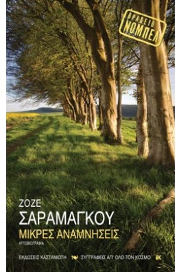 Μεγάλα δέντρα σε σειρά και καταπράσινο έδαφος.