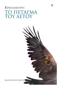 Φτερό αετού σε λευκό φόντο.