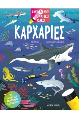 Ψάξε & βρες με τον μαγικό φακό: Καρχαρίες