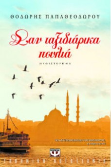 πουλιά που πετάνε με φόντο την Αγιά Σοφιά