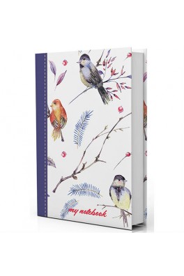 Βιβλιοτετράδιο 17 x 25 Μy Notebook 96 φύλλων