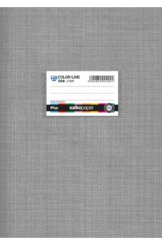 Τετράδιο σχολικό 21 x 29 Salco Colorline 50 φύλλων γκρι