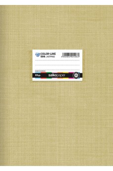 Τετράδιο σχολικό 21 x 29 Salco Colorline 50 φύλλων κίτρινο