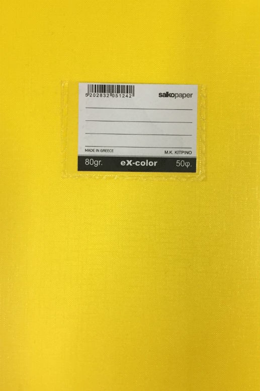 Τετράδιο σχολικό μαθηματικών με κουτάκια Salco EX-COLOR 50 φύλλων κίτρινο